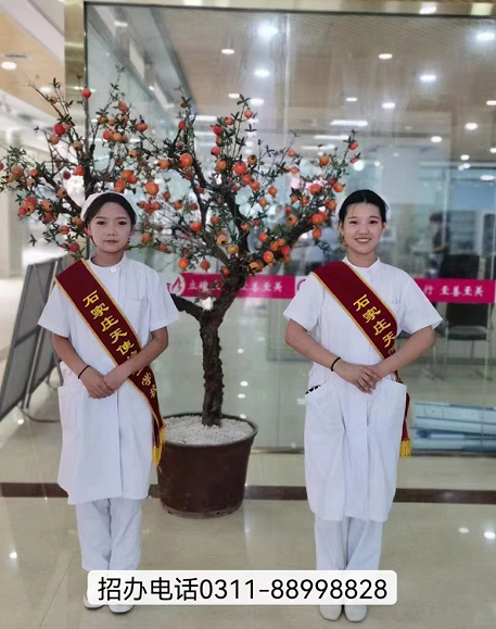 石家莊天使護(hù)士學(xué)校2024年春季招生對象是什么？