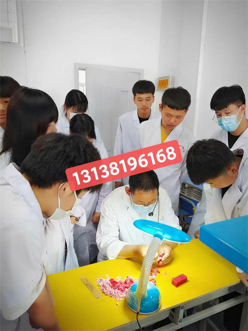 石家莊白求恩醫(yī)學(xué)院升學(xué)對口高考和單招有什么區(qū)別？