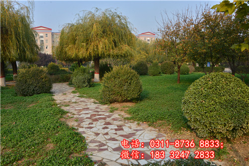 石家莊醫(yī)學(xué)中專(zhuān)學(xué)校2024年招生時(shí)間