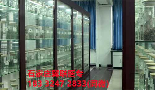 中專中藥專業(yè)能考哪些證書？