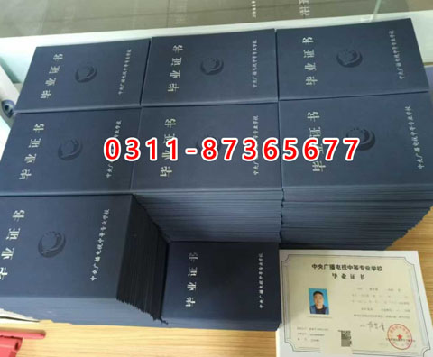 微信圖片_2025-09-11_143921_080 副本.JPG